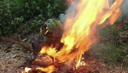 暗黑吃瓜官网入口